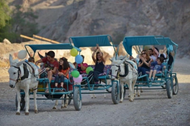 טיול חמורים באילת